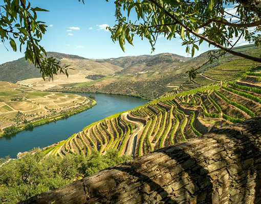 Rota do Vale do Douro
